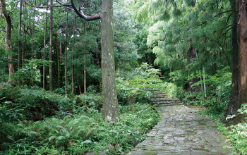世界遺産論